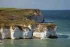 Chalk cliffs by North Landing, Flamborough Head, Yorkshire, England