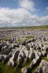 Limestone Pavement, Malham Cove, Yorkshire Dales National Park, North Yorkshire, England