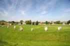 Stone Display, Avebury, England