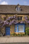 Wisteria Covered Cottage, Broadway, Cotswolds, England