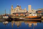 Liver Building and Tug Boats from Albert Dock, Liverpool, Merseyside, England