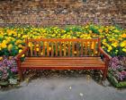 England, Northumberland, Hexham, Park bench