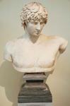 Antinous Bust, Statue, Athens, Greece