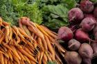 Carrots and Beets