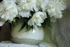 White Peonies In Cream Pitcher 5