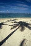 Shadow of Palm Trees on Beach, Coral Coast, Fiji