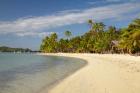Beach and palm trees,  Malolo Lailai Island, Mamanuca Islands, Fiji