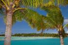 Palm trees and lagoon entrance, Musket Cove Island Resort, Malolo Lailai Island, Mamanuca Islands, Fiji
