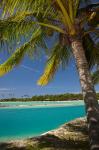 Palm trees and lagoon entrance, Musket Cove Island Resort, Fiji