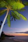 Palm trees and sunset, Plantation Island Resort, Fiji