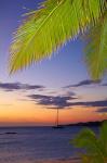 Palm trees and sunset, Plantation Island Resort, Malolo Lailai Island, Mamanuca Islands, Fiji