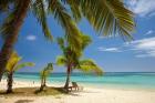Beach, palm trees and lounger, Plantation Island Resort, Malolo Lailai Island, Mamanuca Islands, Fiji