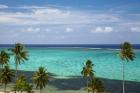 Palm trees and coral reef, Crusoe's Retreat, Coral Coast, Viti Levu, Fiji