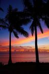 Sunset and palm trees, Coral Coast, Viti Levu, Fiji
