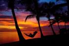 Hammock, Travel, Coral Coast, Viti Levu, Fiji