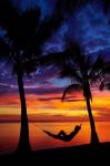 Woman in hammock, and palm trees at sunset, Coral Coast, Viti Levu, Fiji