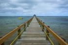 Long wooden pier, Coral Coast, Fiji, South Pacific