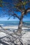 Hammock on the beach of a resort, Nacula Island, Yasawa, Fiji, South Pacific