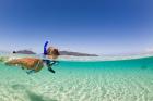 Woman snorkeling, Beqa Island, Fiji