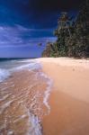 Fiji Islands, Tavarua, Surf over the sand