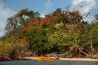 Christmas Tree and Orange Skiff, Turtle Island, Yasawa Islands, Fiji