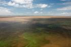Brazil, Amazon River, Algae bloom