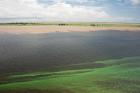 Brazil, Amazon River, Santarem Meeting of the Waters Algae bloom