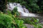 Rainforest waterfall, Serra da Bocaina NP, Parati, Brazil (horizontal)