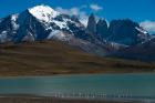 Chilean Flamingo On Blue Lake, Torres Del Paine NP, Patagonia