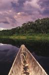 Paddling a dugout canoe on Lake Anangucocha, Yasuni National Park, Amazon basin, Ecuador