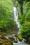Costa Rica, La Paz Waterfall Garden Rainforest Waterfall And Stream