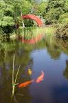 Alabama, Theodore Bridge and Koi Pond at Bellingrath Gardens