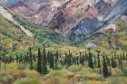 Alaska, Fall Foliage, Sheep Mountain