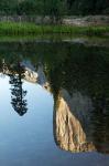 Reflection of El Capitan in Mercede River, Yosemite National Park, California - Vertical