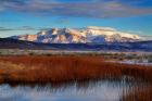 California White Mountains And Reeds In Pond
