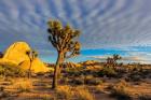 Joshua Tree National Park, California