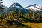 Mount Eccles Near Cordova, Alaska