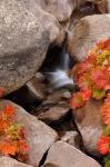 Small Waterfall In The Sierra Nevada Mountains