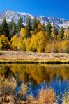 Yosemite's Mount Dana