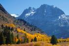 Fall In Eastern California