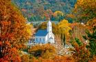 St Sava Serbian Church In Autumn