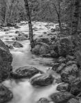 Yosemite Happy Isles, California (BW)