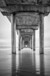 California, La Jolla, Scripps Pier, Sunrise (BW)