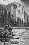 California, Yosemite, El Capitan (BW)