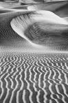 California's Valley Dunes (BW)