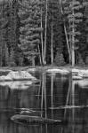 California, Sierra Lake (BW)