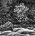 California, Yosemite, Happy Isles