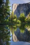 El Capitan reflected in Merced River Yosemite NP, CA