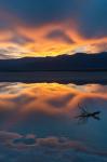 Lone Branch At Cotton Ball Basin