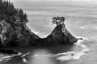 Rocky Pacific Coast After Sunset (BW)